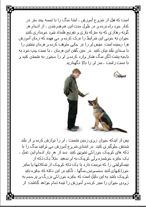 آموزش حرفه ایی تربیت سگ